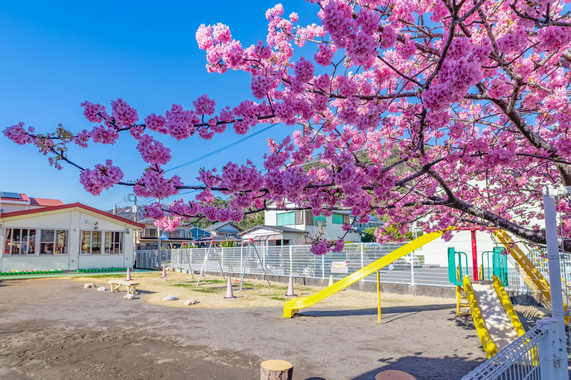 「保育園(九州)」の電気代削減結果、約22万円(削減率22.1%)。削減前:約96万円が削減後:約74万円に削減。